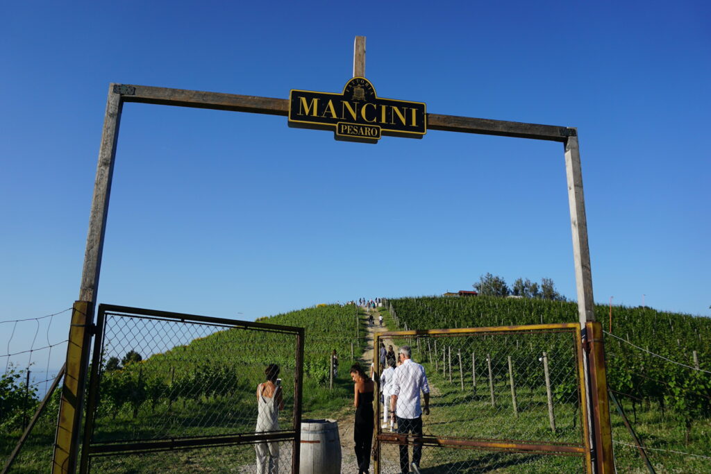 Fattoria Mancini Vigna di Rive
