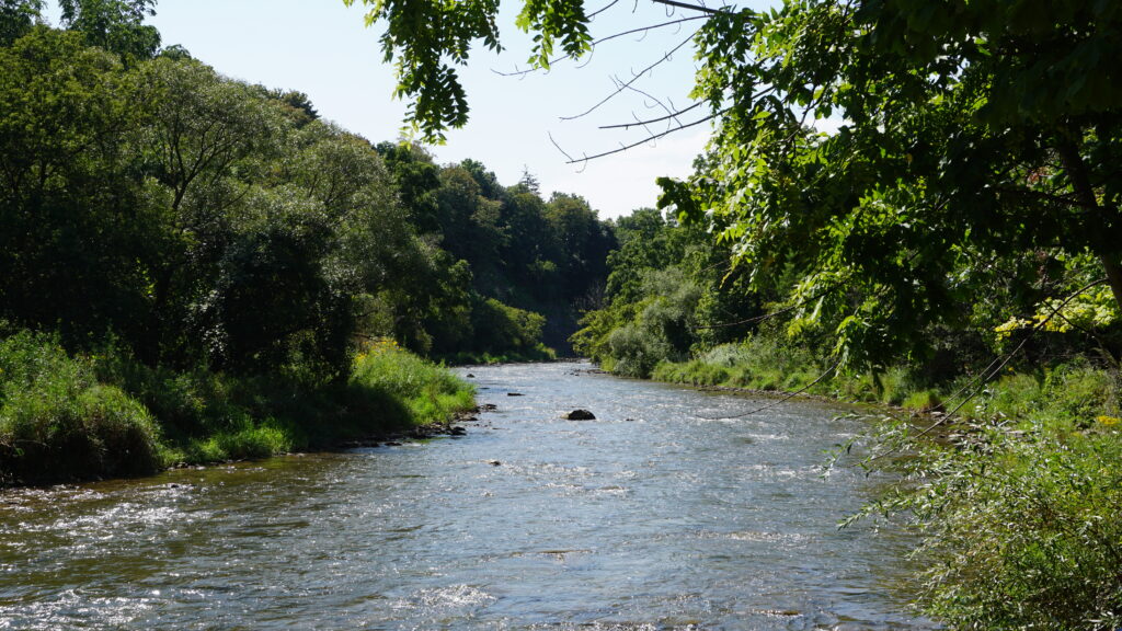 THE RIVERWOOD CONSERVATORY