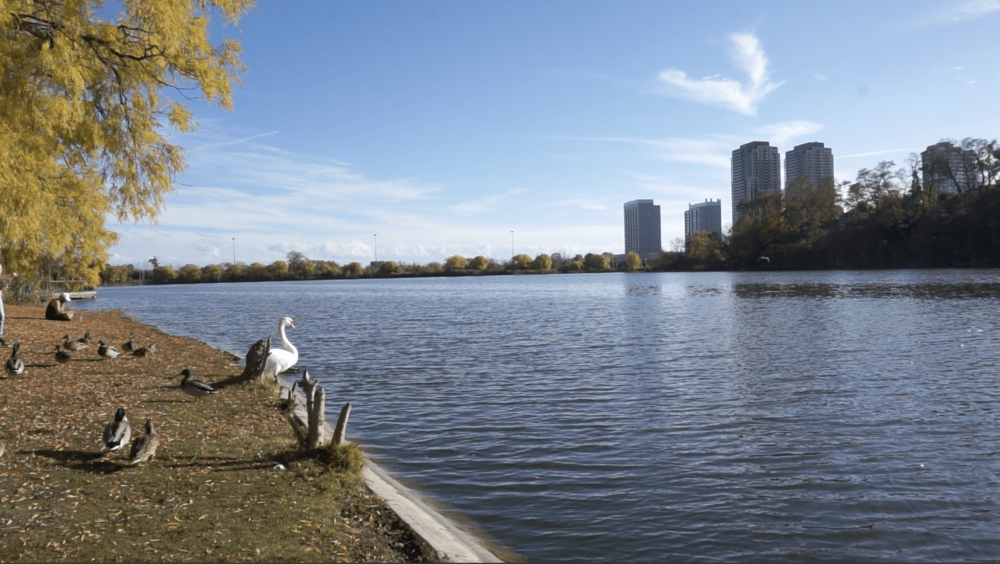HIGH PARK TORONTO
